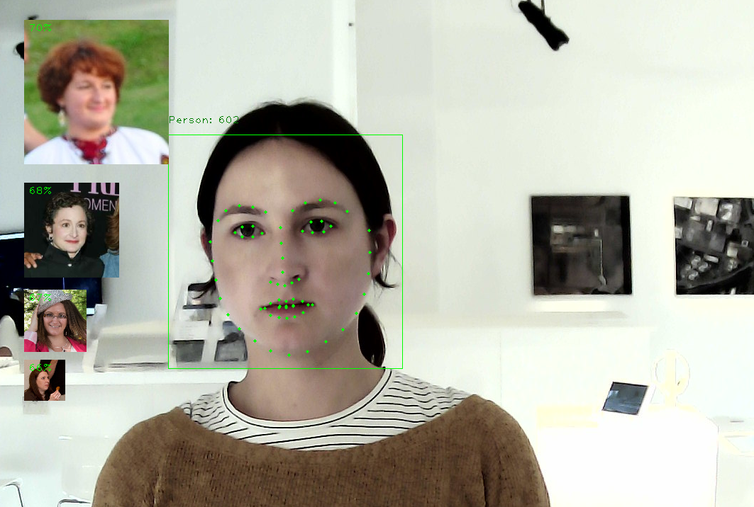 Facial recognition software article examples